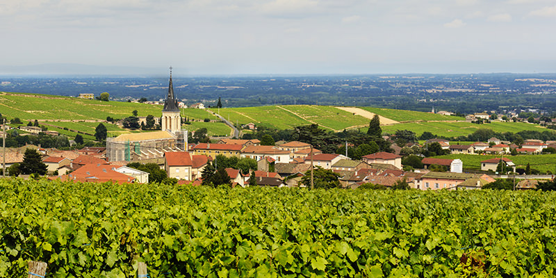 beaujolais-fleurie-inside-header