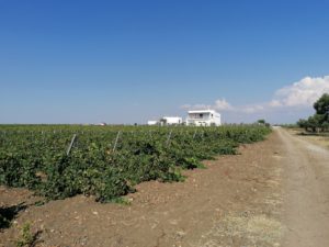 IMG_20200811_165307
