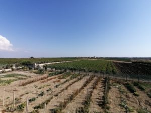 IMG_20200811_170535