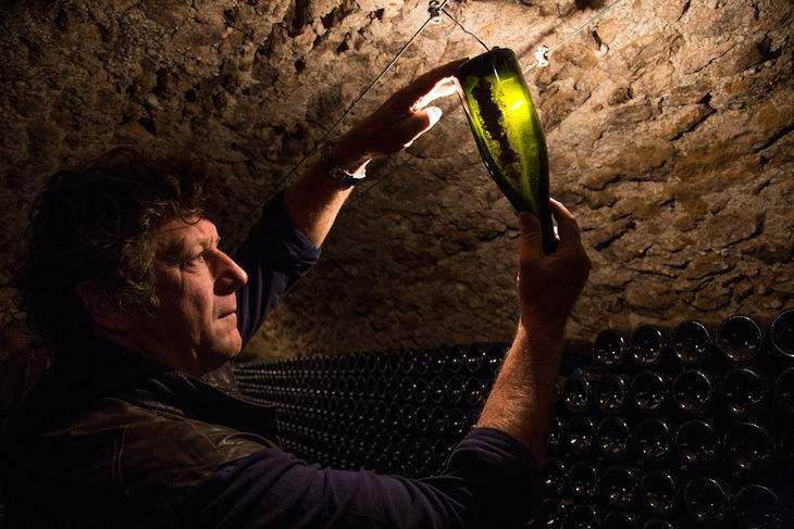 Selosse J