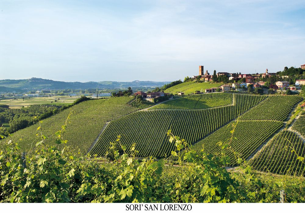 Vigneti
